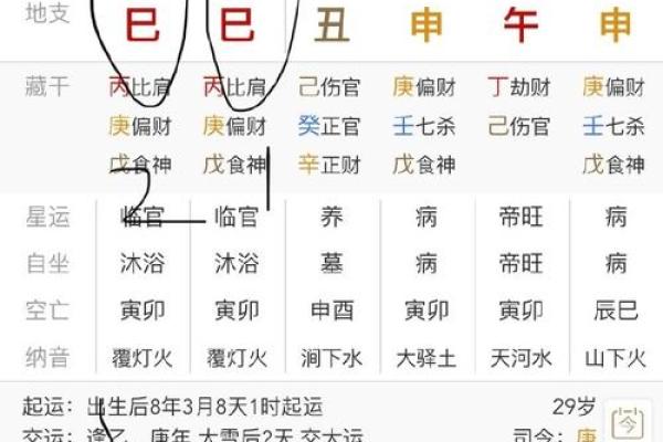 详细解析出生生辰八字查询的步骤与技巧