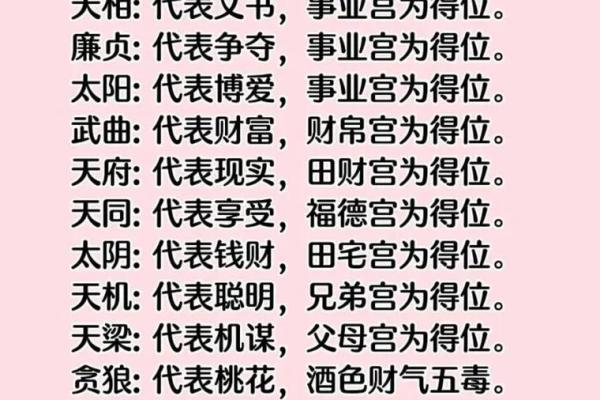 地支在紫微斗数中的作用与解析