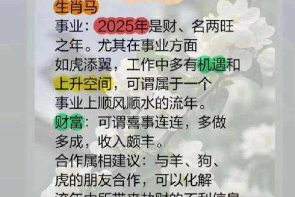 属马人在的运程分析
