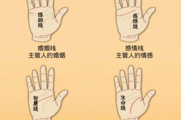 手相揭秘：你的命运密码在这里！