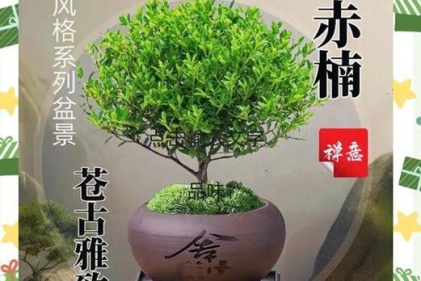 金丝楠木风水宝物：家居摆设必备，招财纳福神器