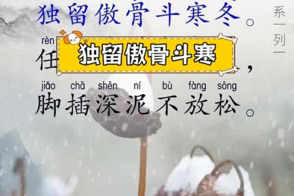 冰雪映月，冬夜如诗