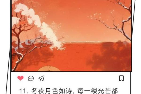 冰雪映月，冬夜如诗