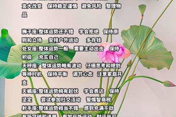 爆今日运势大揭秘，揭秘你的星座运势