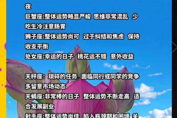 爆今日运势大揭秘，揭秘你的星座运势