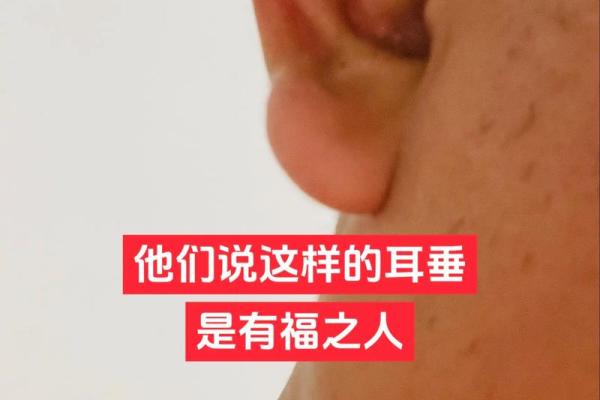 面相养耳术：揭秘五官和谐之道