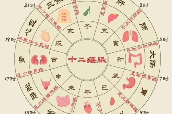 通过地支时辰调整你的作息与运气
