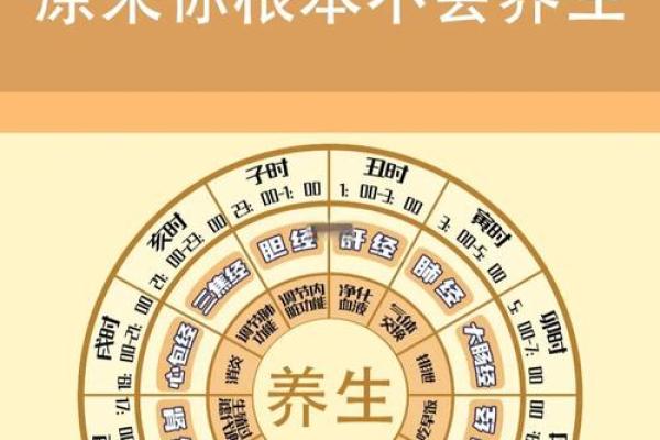 通过地支时辰调整你的作息与运气