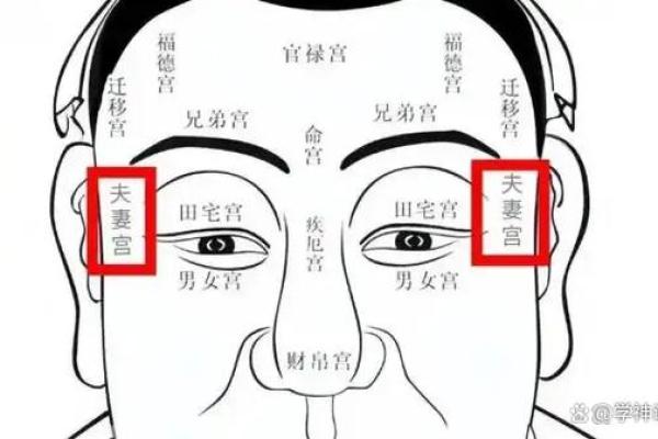 精准识人，一图看懂脸型面相的秘密
