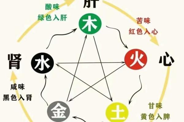 脾在五行地支中的独特作用