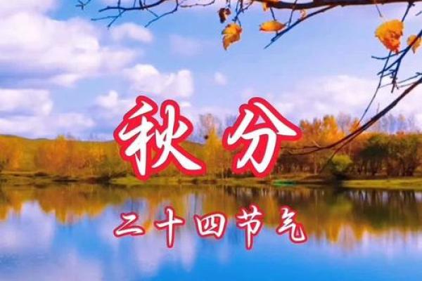 秋分时节话丰收，民俗风情共欢颜