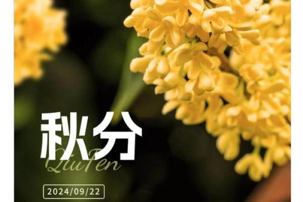 秋分时节话丰收，民俗风情共欢颜