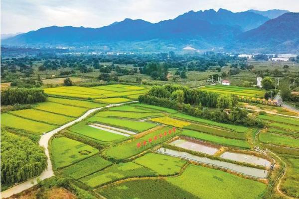 涡河风水学原理解析：自然之力与人居环境的和谐共生
