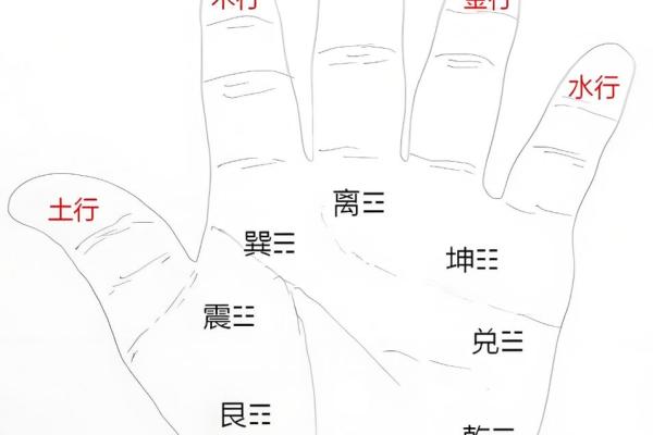 解锁手相奥秘：男性左手杂乱，财运如何？