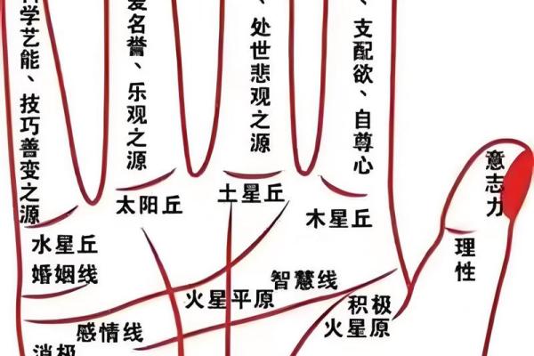 解锁手相奥秘：男性左手杂乱，财运如何？