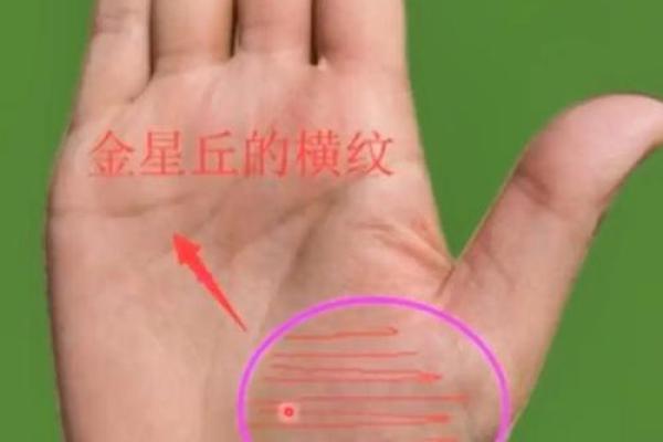 手指间的财运密码：右手手相深度解析