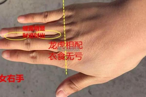 手指间的财运密码：右手手相深度解析