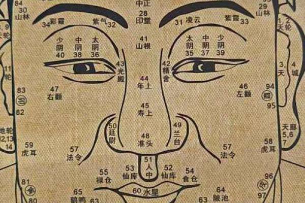 面相宝典：痣相背后的神秘力量