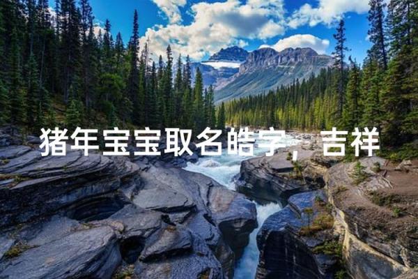 猪年吉祥：宝宝名字两则推荐