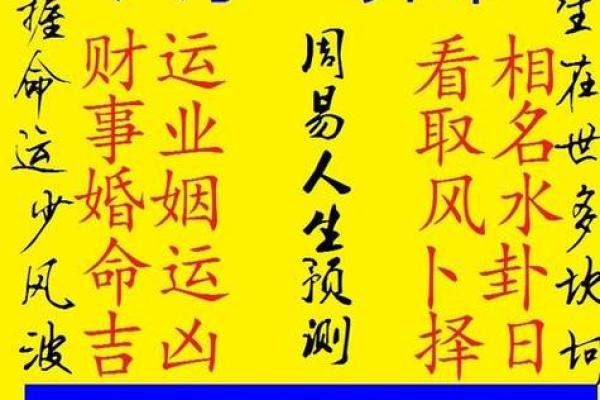 八字配对，红本本见证：精准婚配，幸福一生