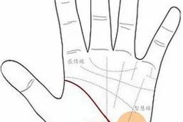 手上暗藏不孕信号？手相大师教你破解生育难题