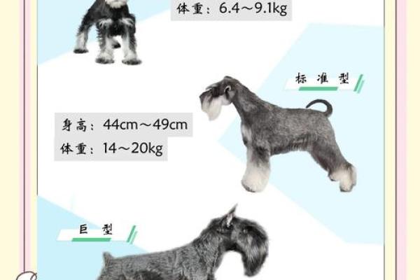 雪纳瑞犬取名灵感：让你的狗狗与众不同