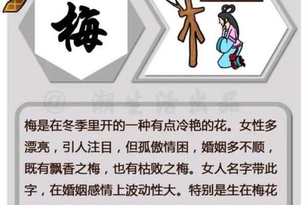 王亦凡的名字与命运：揭示姓名与人生的深刻关联