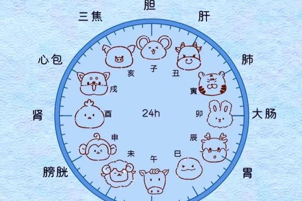 午五行属什么？揭秘午时的五行属性