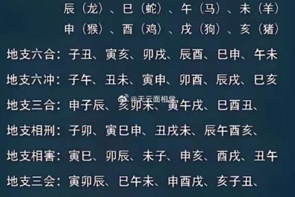 十二地支位的神秘力量与命理解析