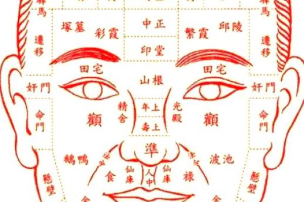 面相揭秘：家庭缘薄面相特征一览