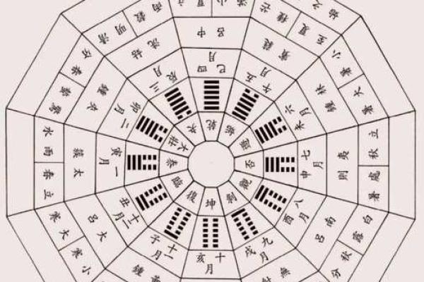 巳地支的详细解析