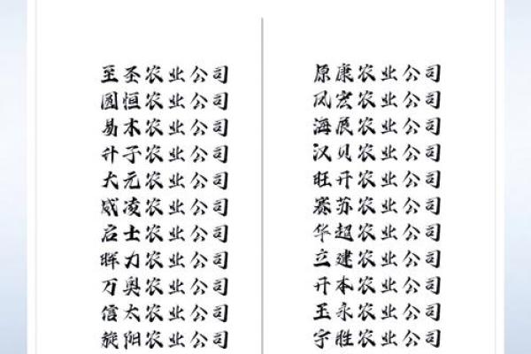 如何利用免费资源为公司起个响亮名字