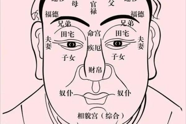 脸型解码：面相之窗，窥见命运之谜