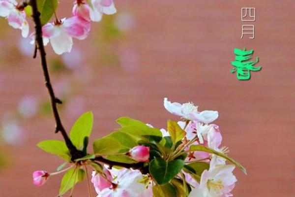 繁花似锦，姓名绽政