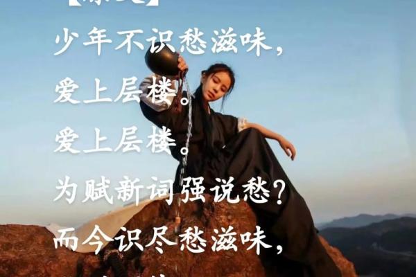 朱博：智慧之光，博学多才，人生运势璀璨如星