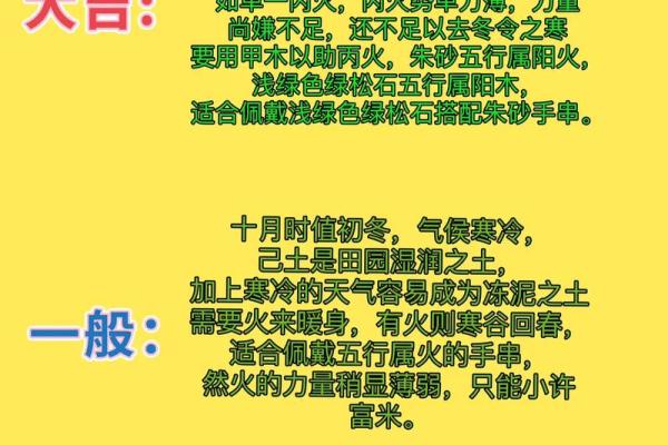 了解己巳五行的深层含义