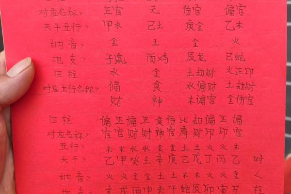 了解己巳五行的深层含义