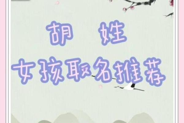 胡氏宝宝，寓意吉祥的取名之道