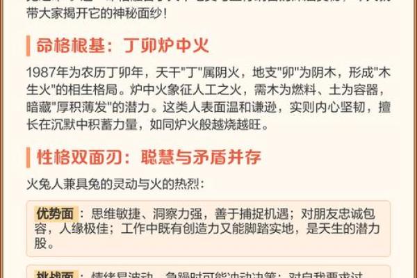 探秘生肖地支年份的五行能量