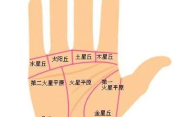 手相揭秘：12大运势密码，揭秘你的命运走向！