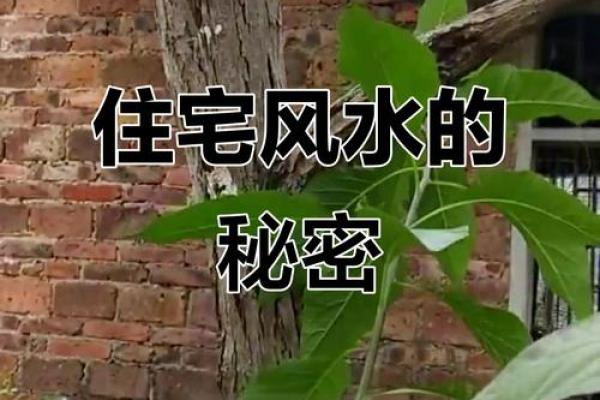 住宅风水：揭秘其对后代命运的神秘影响
