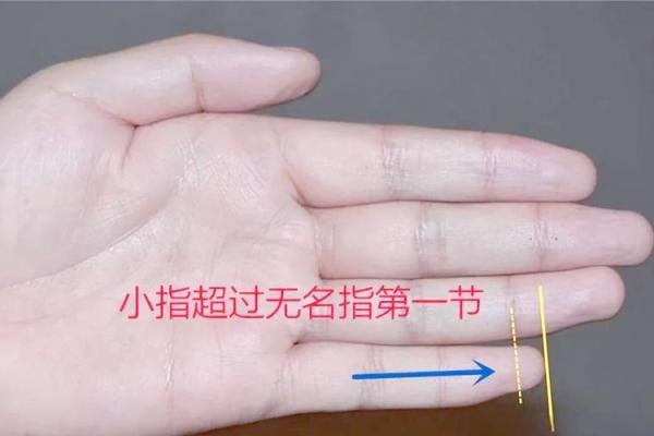 手相大揭秘：看手相识子嗣，揭秘你的生育秘密！