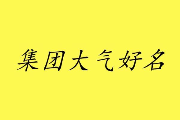 健康企业命名的创意指南：如何为您的品牌取一个响亮的名字