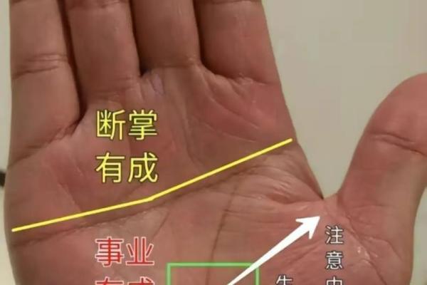 女人手掌中的秘密：揭秘手相中的女字运势