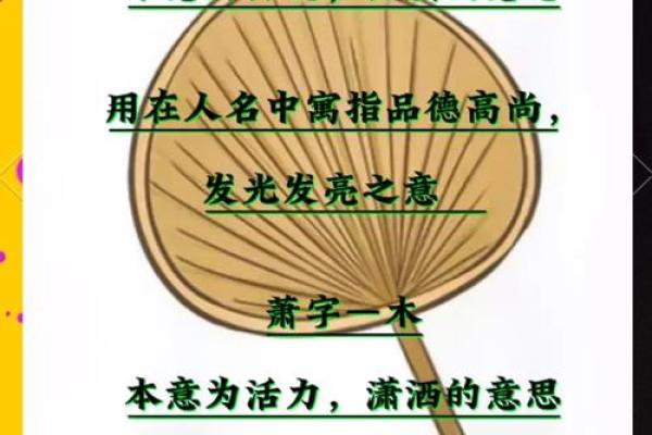 余字在公司起名中的独特魅力与创意应用