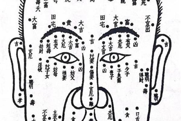 面相揭秘：佛祖视角下的命运密码
