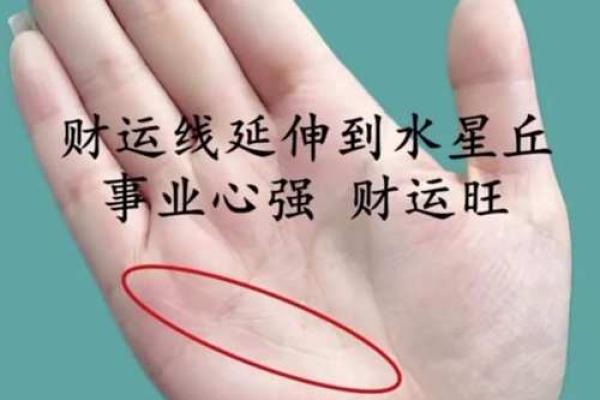 手相解码：指甲线揭示你的财运与命运