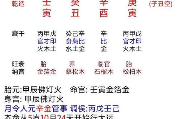 八字命理大揭秘：你的人生运势原来可以这样看！