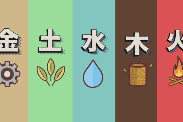 淳字五行分析与其影响