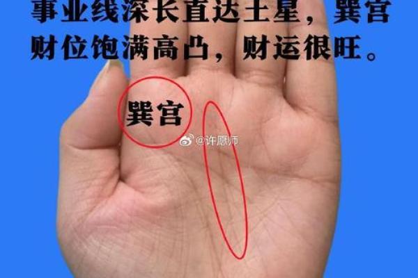 一手定乾坤：罕见手相图鉴，带你探索未知的人生奥秘